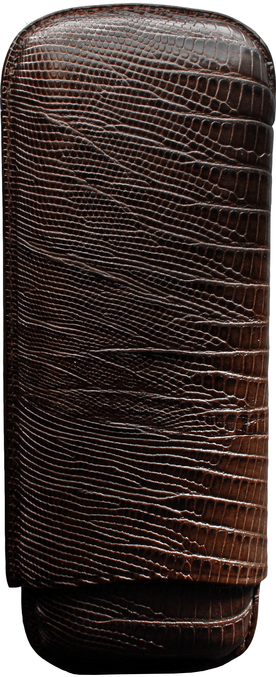 Martin Wess 571 Lizard Brown - 2 Gigante