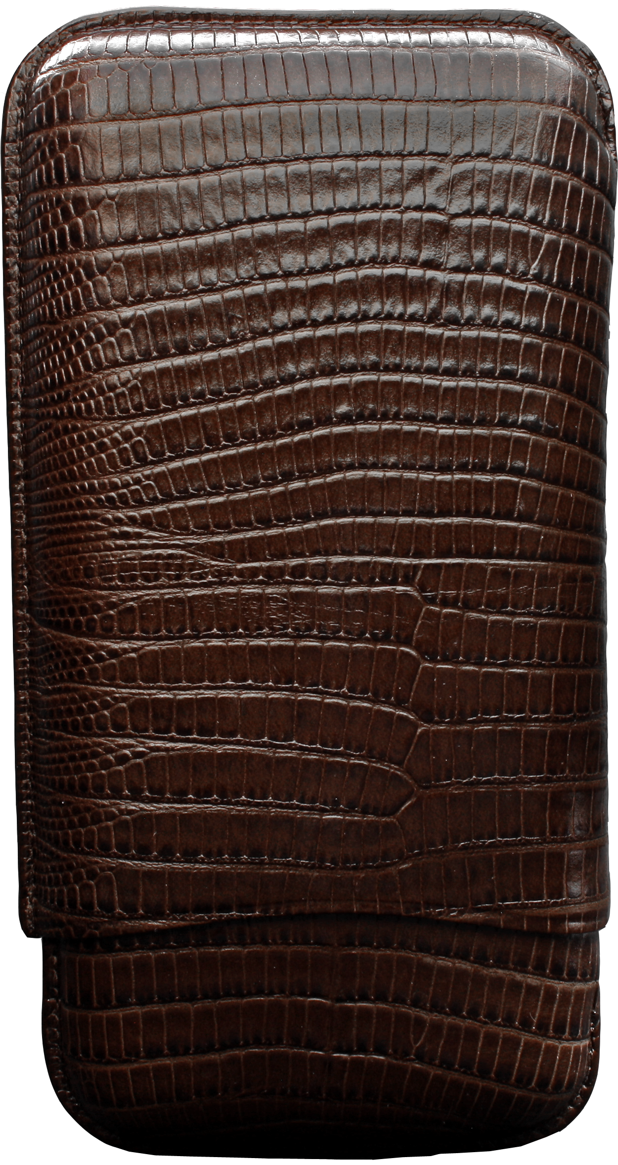 Martin Wess 570 Lizard Brown - 3 Gigante